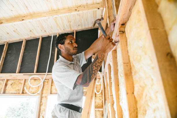 Professional Insulation Services in South Daytona, FL